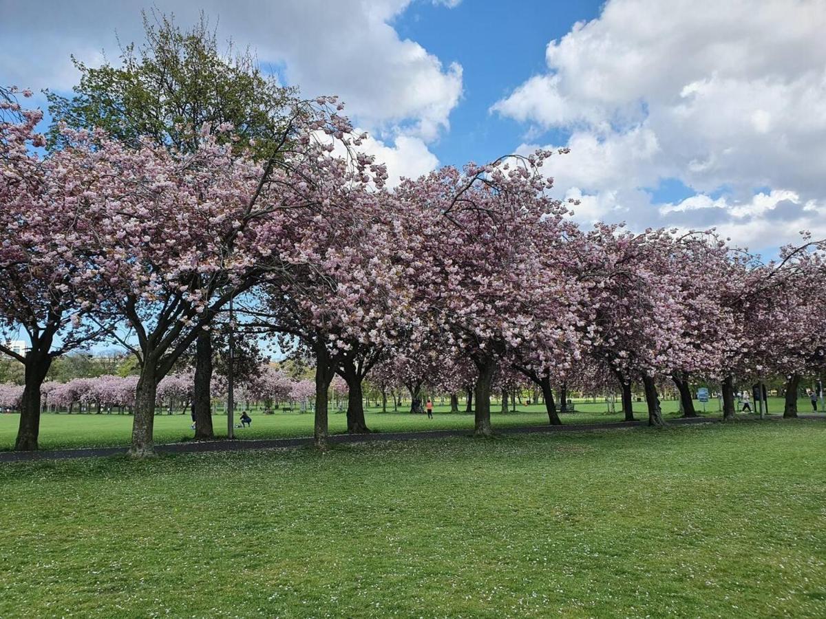 Lovely 2 Bedroom Flat In The Heart Of The City Edinburgh Dış mekan fotoğraf